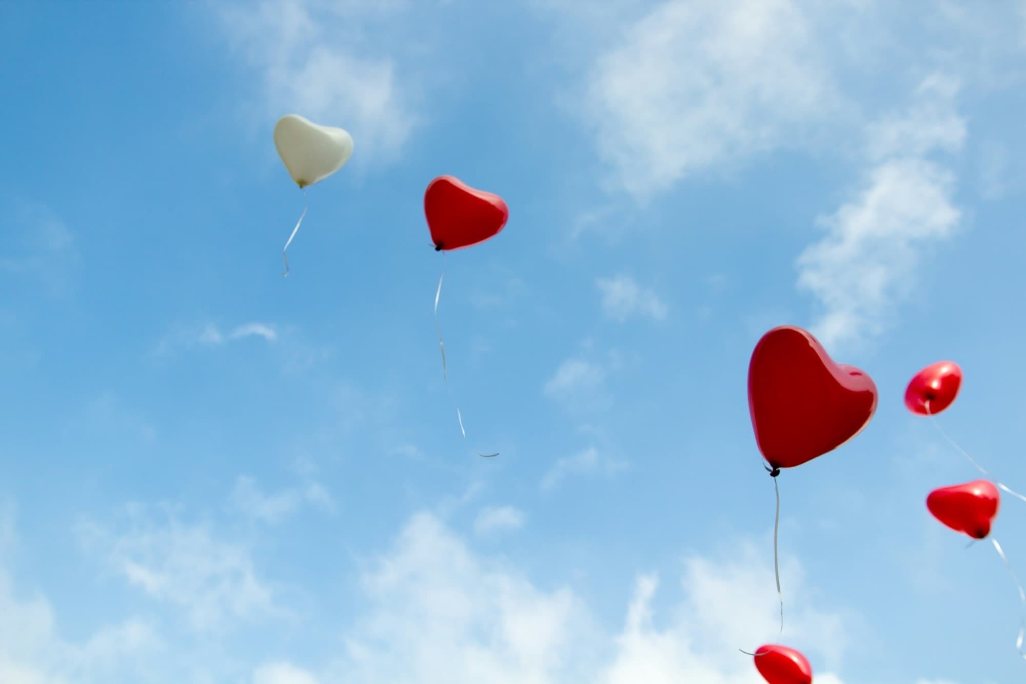 Jacksonville Sober Living: A Foundation for Lasting Freedom
